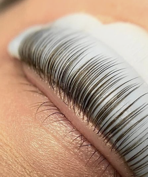 lash lift + tint