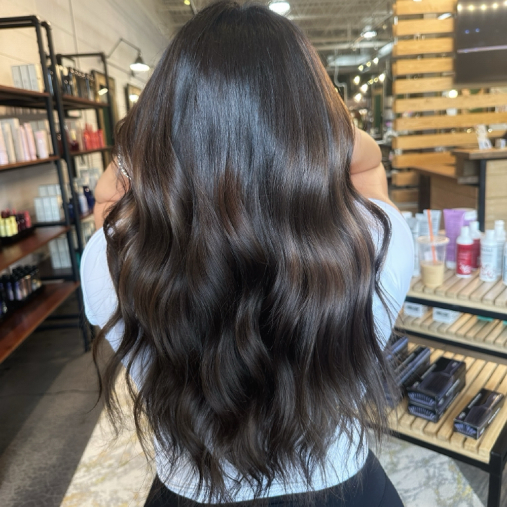 All Over Color at The Mane Experience in Burr Ridge, IL