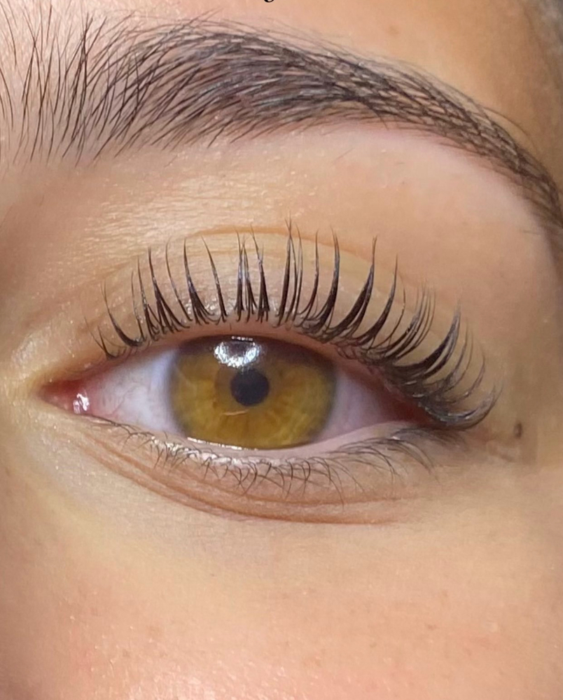 Lash Lift and Tint