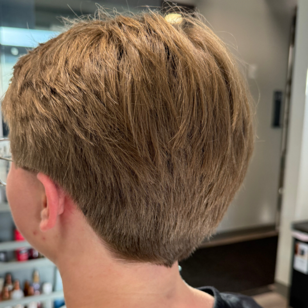 Dry Cut at JL Hair Studio in Davidson, NC