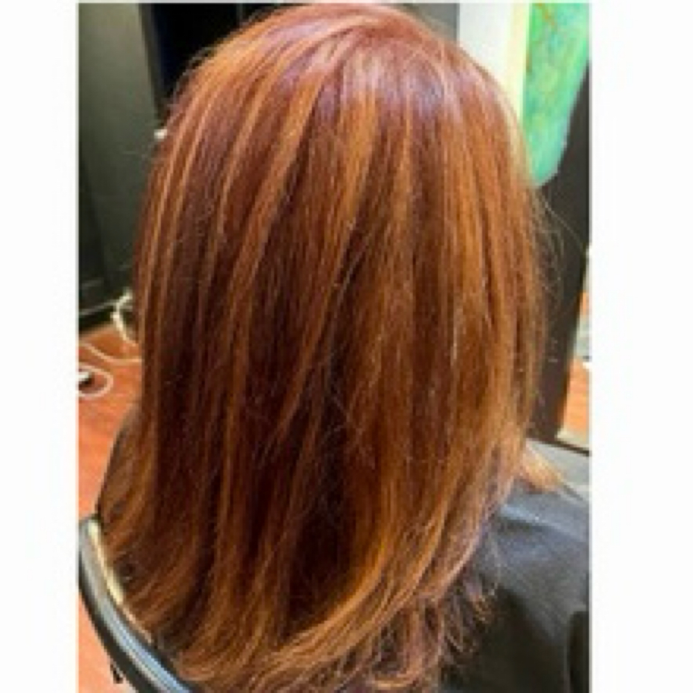 Full Foil With Color Package at Beauty Collective in Bellingham, WA