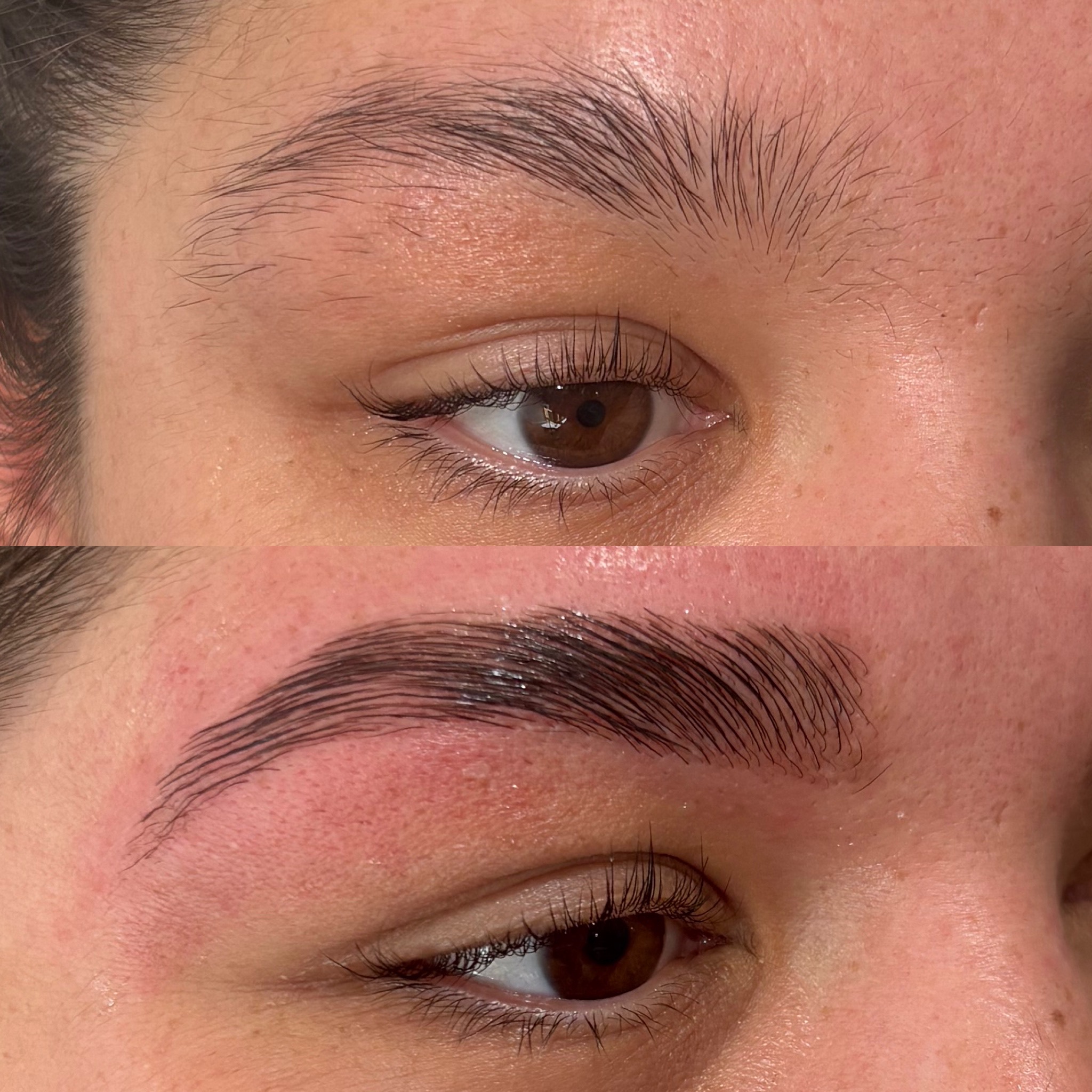 Brow Lam, Wax, +Tint