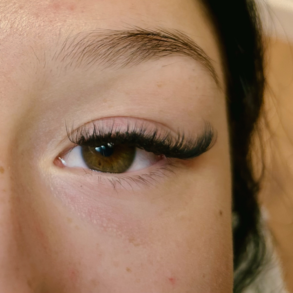 Light Volume Full Set