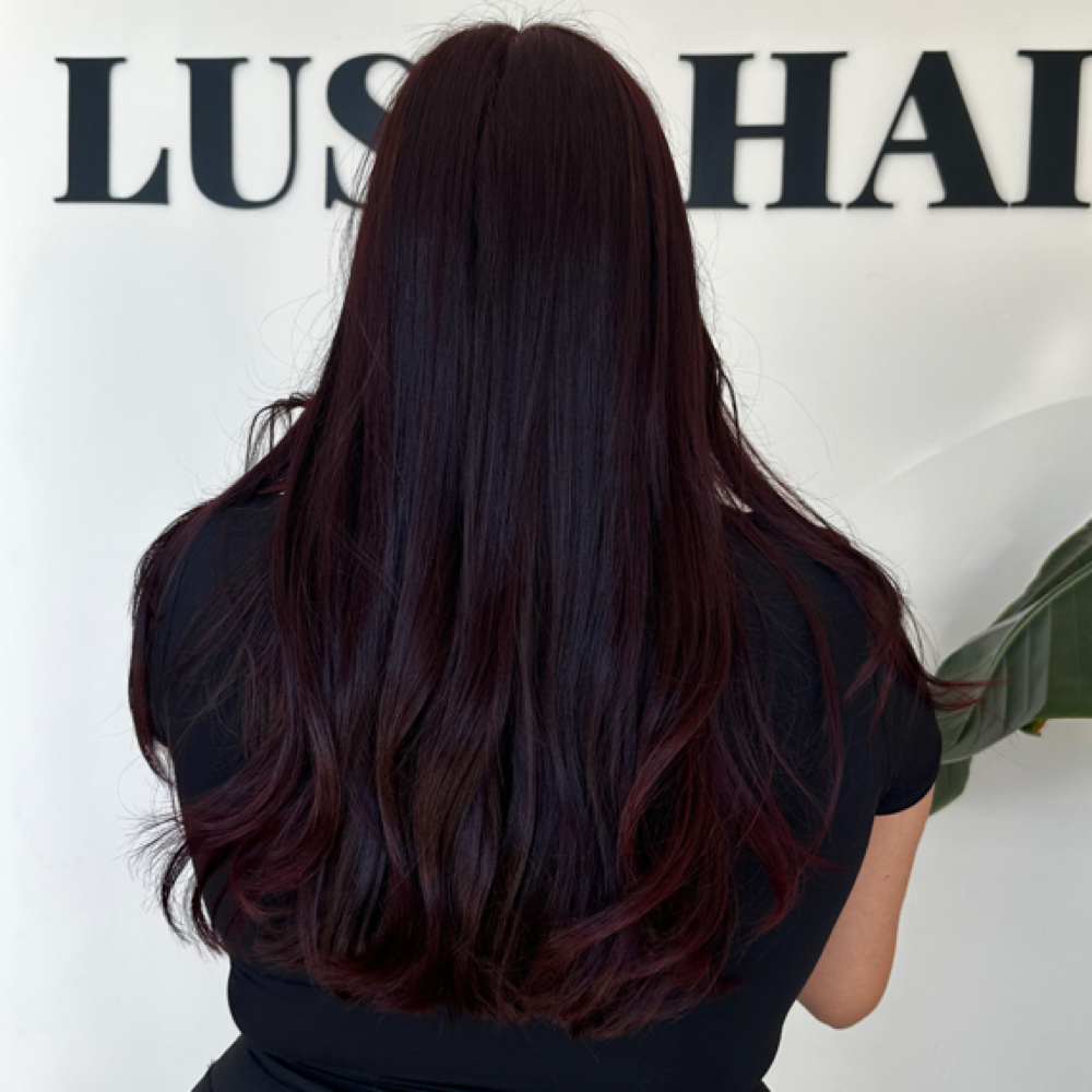Root Touch Up at Lush Hair & Co in Sacramento, CA