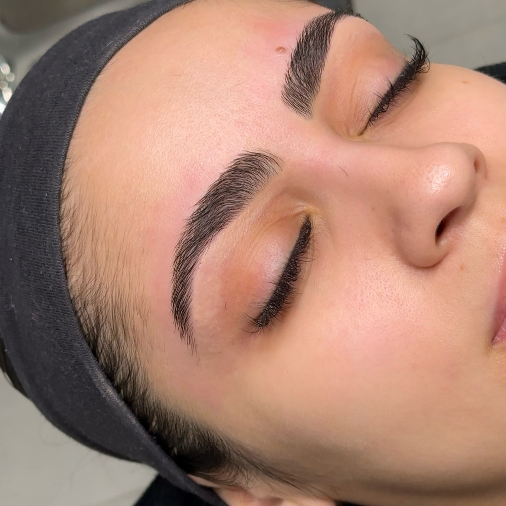Brow Lamination Refresh at Asia  Sallam Beauty in Amherst, NY