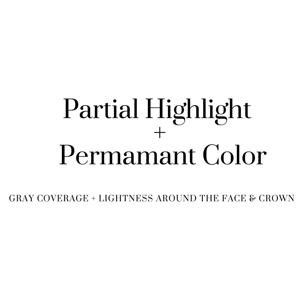Partial Highlight+Permanent Color at The Courtney Bell @ Shades Studio on North Main in Swainsboro, GA
