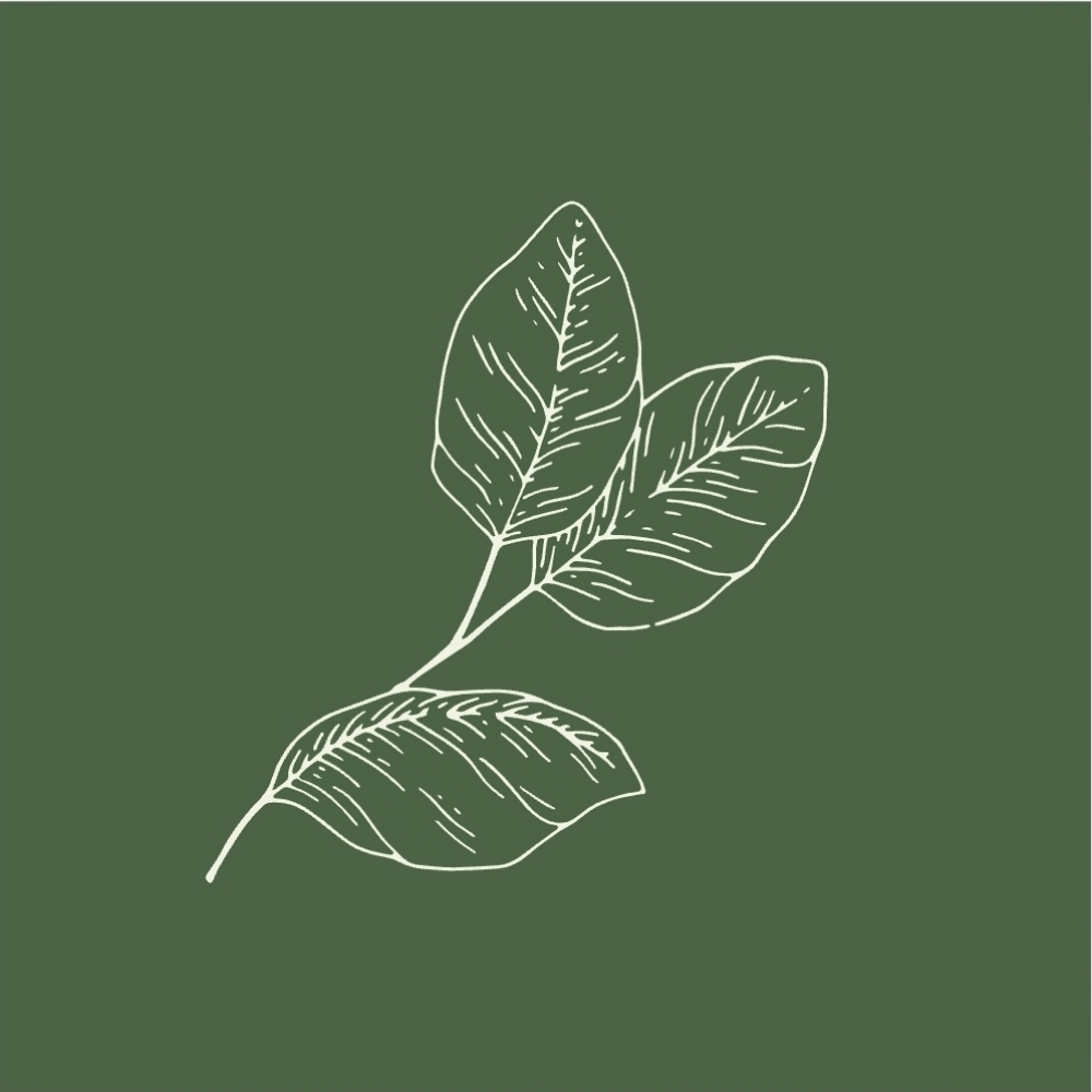 Chest And Décolleté Facial at The Skin You're In in Overland Park, KS