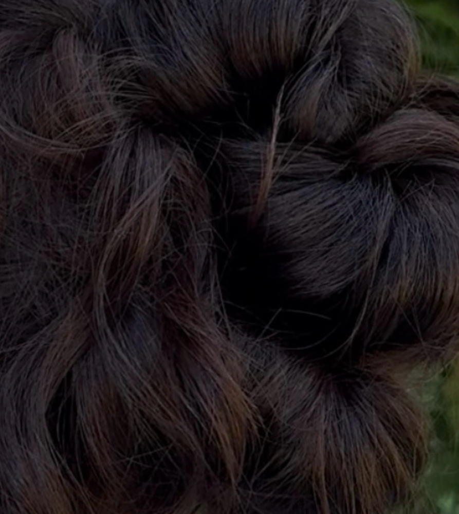 Updo at House of A+E in Morrice, MI