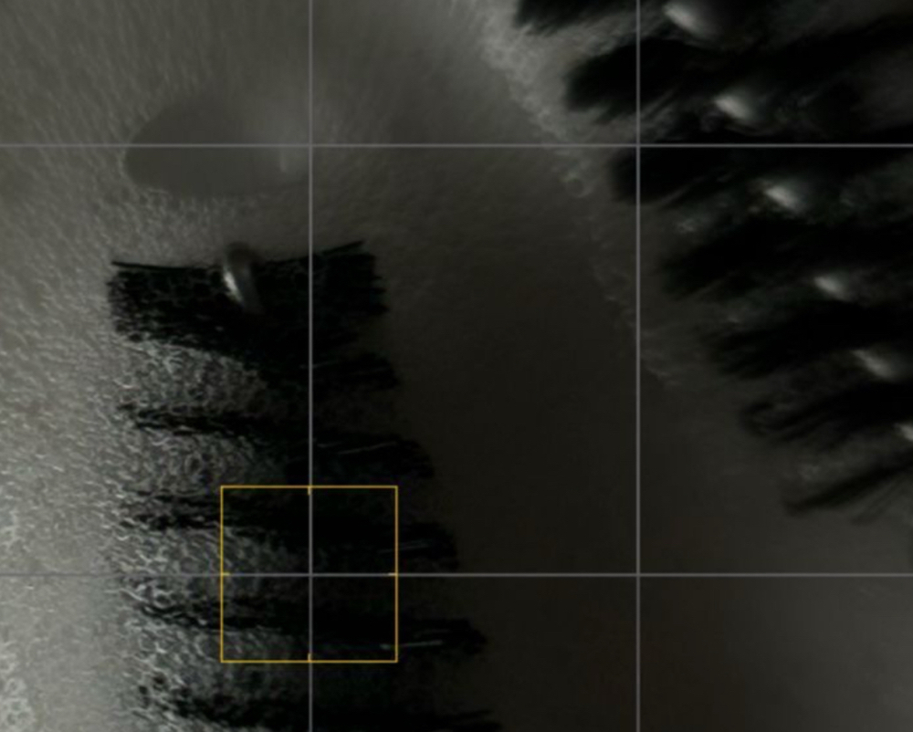 Lash Removal