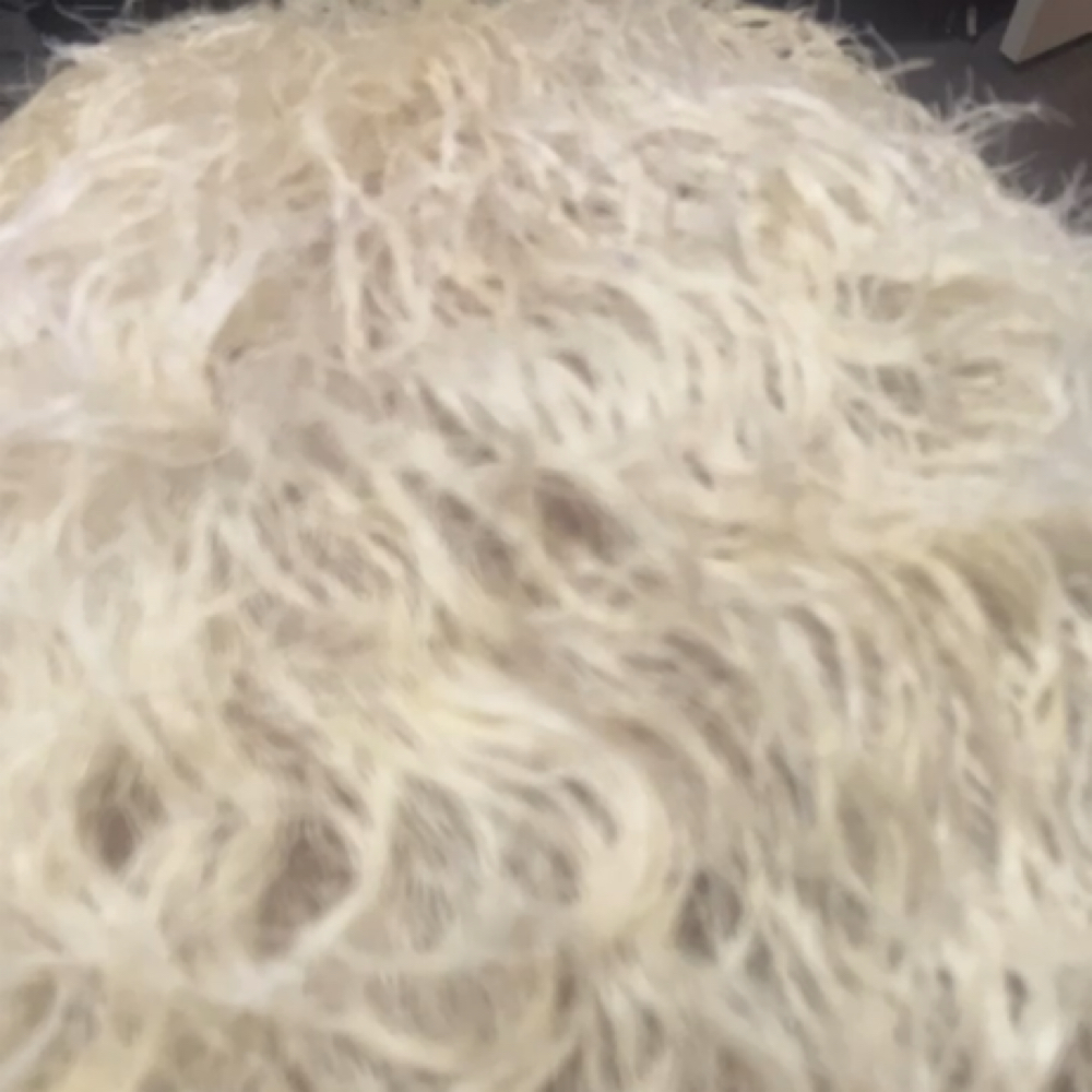 Bleach + Tone Touch Up at Karlika Kimora in Henderson, NV