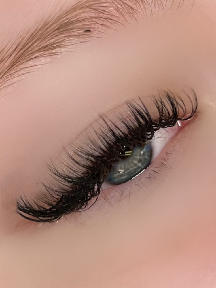 Wet Lash Full Set