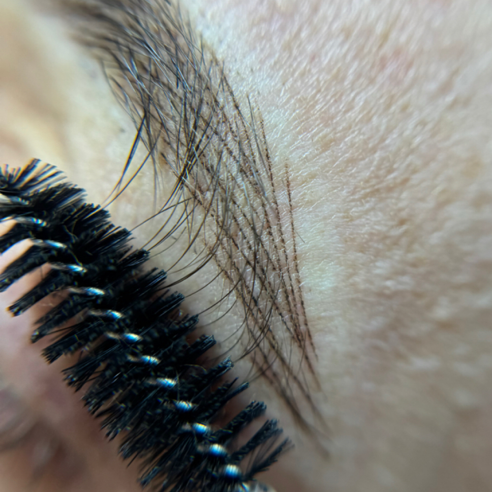 Brow Touch Up (4-6 Months)