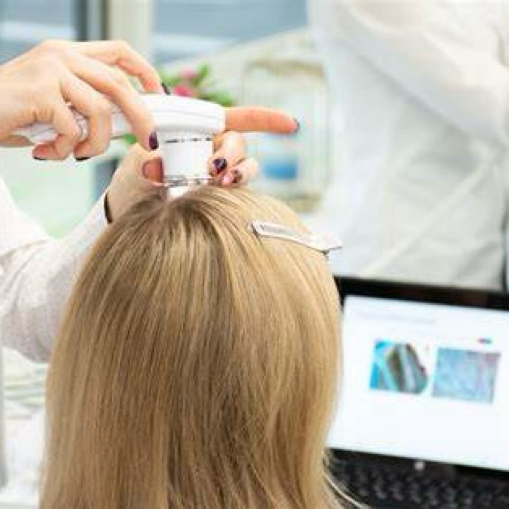 Scalp Analysis & Haircut at Sher Segal Hair in Apex, NC