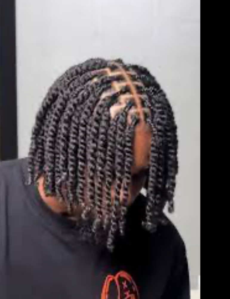 Full Head Two Strand Twist
