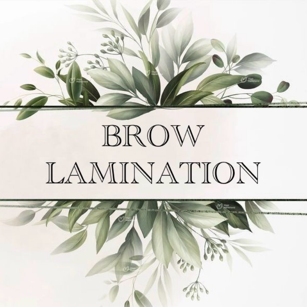 Brow Lamination at Witte + Wild Aesthetics in Rosemount, MN