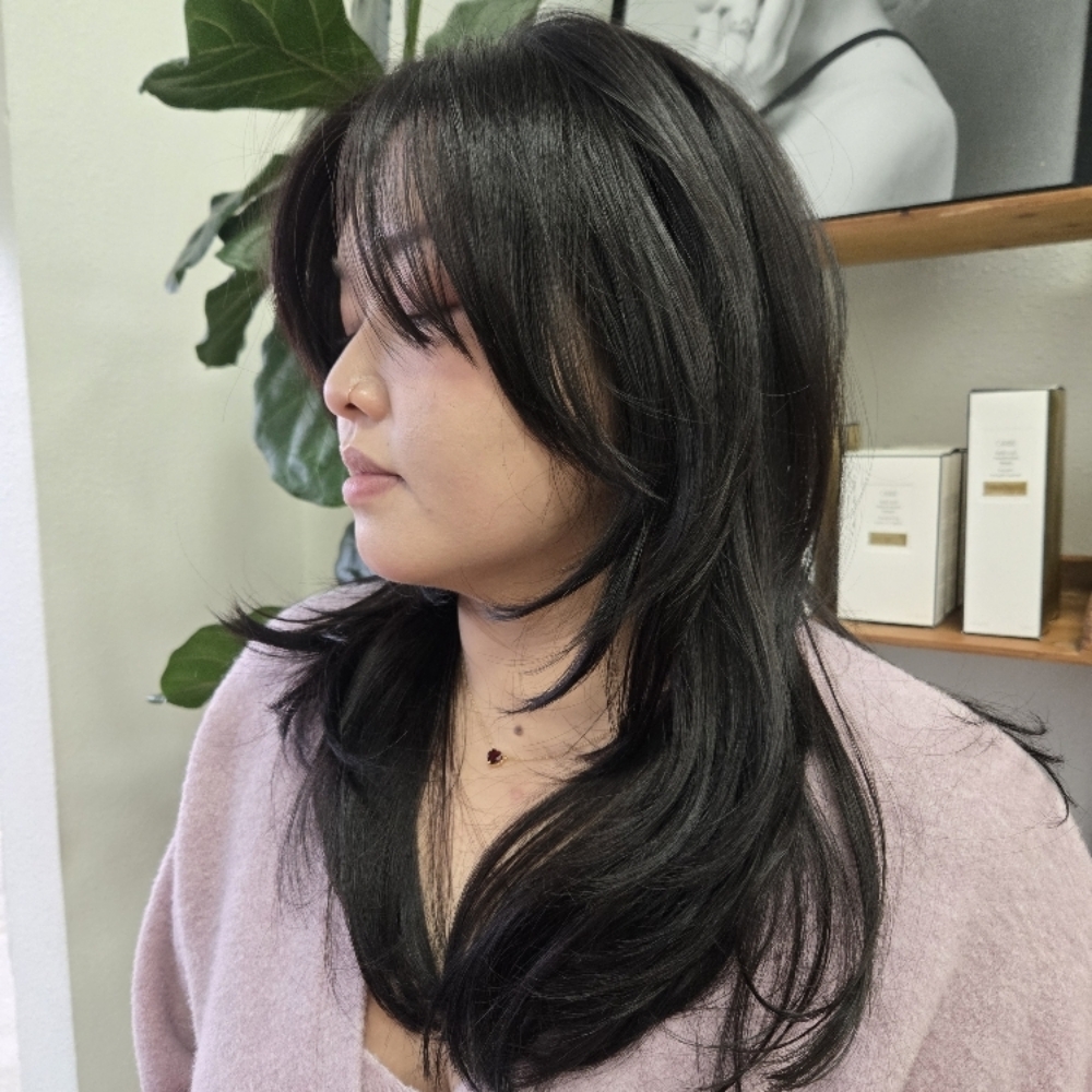 TEEN / ADULT HAIRCUT at Shea Eliz Salon in Houston, TX