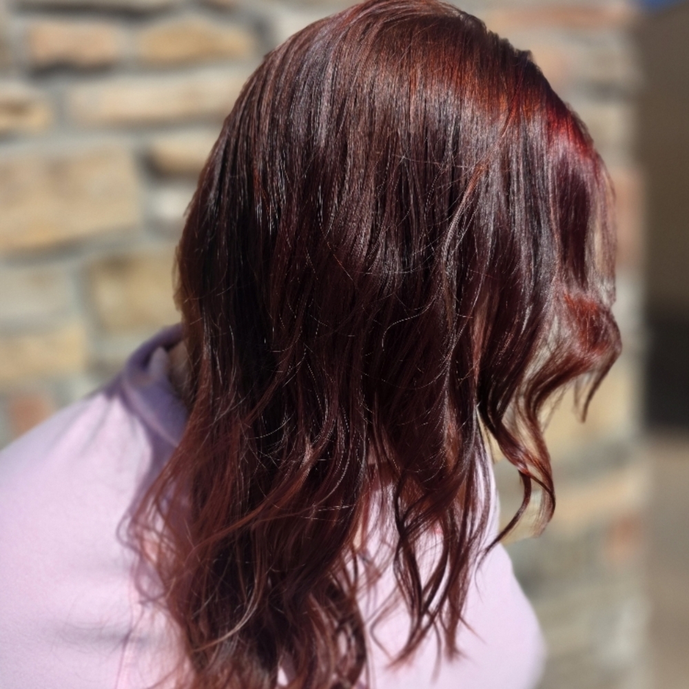 All Over Single Color at Got Roots? Inside Creative Chaos in Colorado Springs, CO