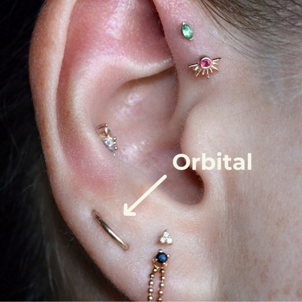 Orbital at Piercings By Autumn in New Castle, PA
