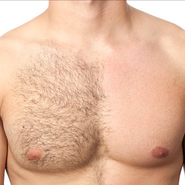 Full Chest Wax at Honey Bee Smooth in Richmond, KY