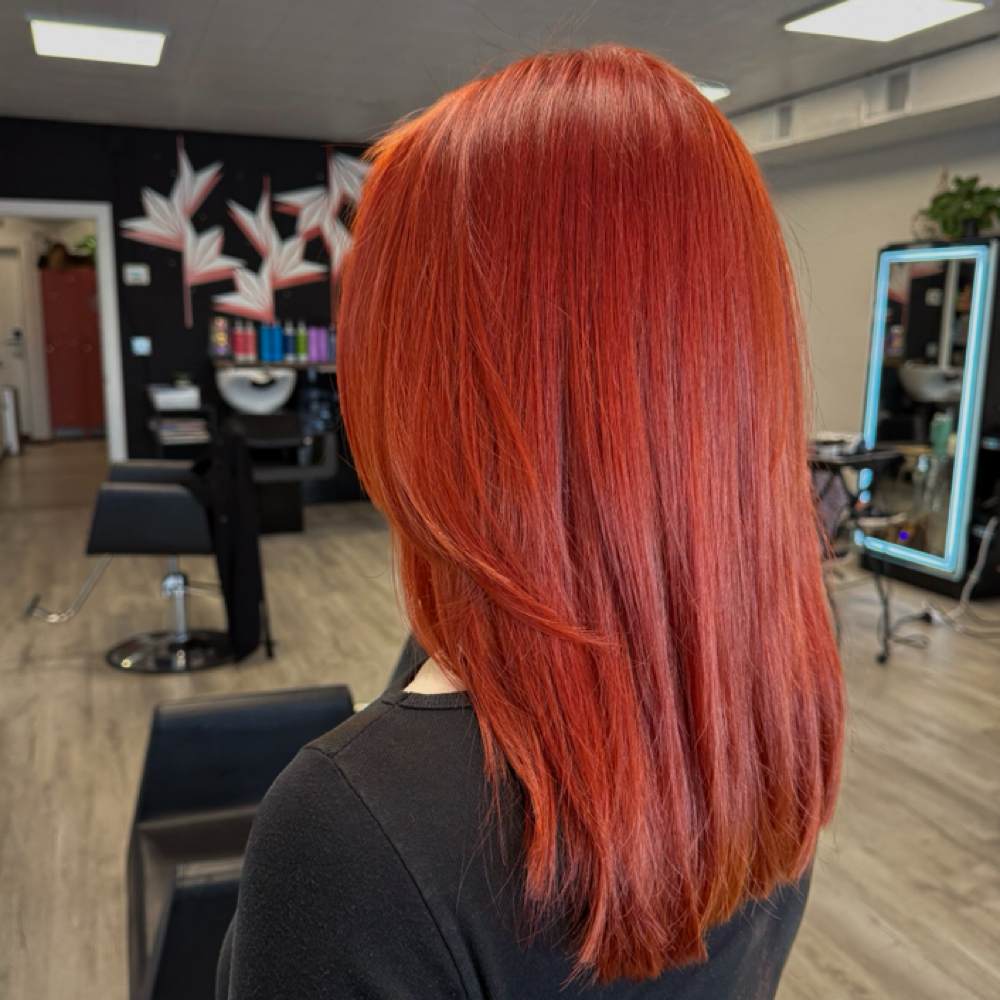 Blowout at The Funky Lady in Wheat Ridge, CO