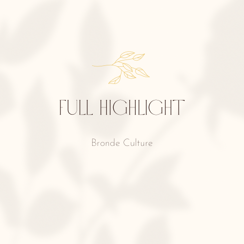 Full Highlight/Balayage