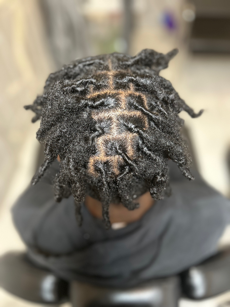 Loc Retwist
