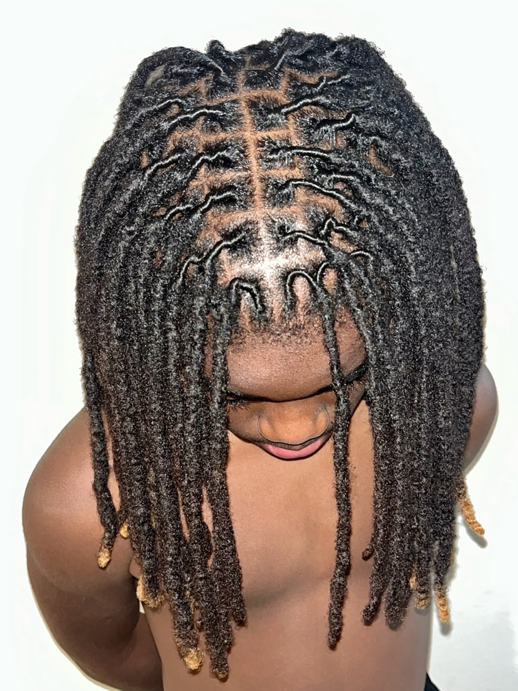 Loc Retwist