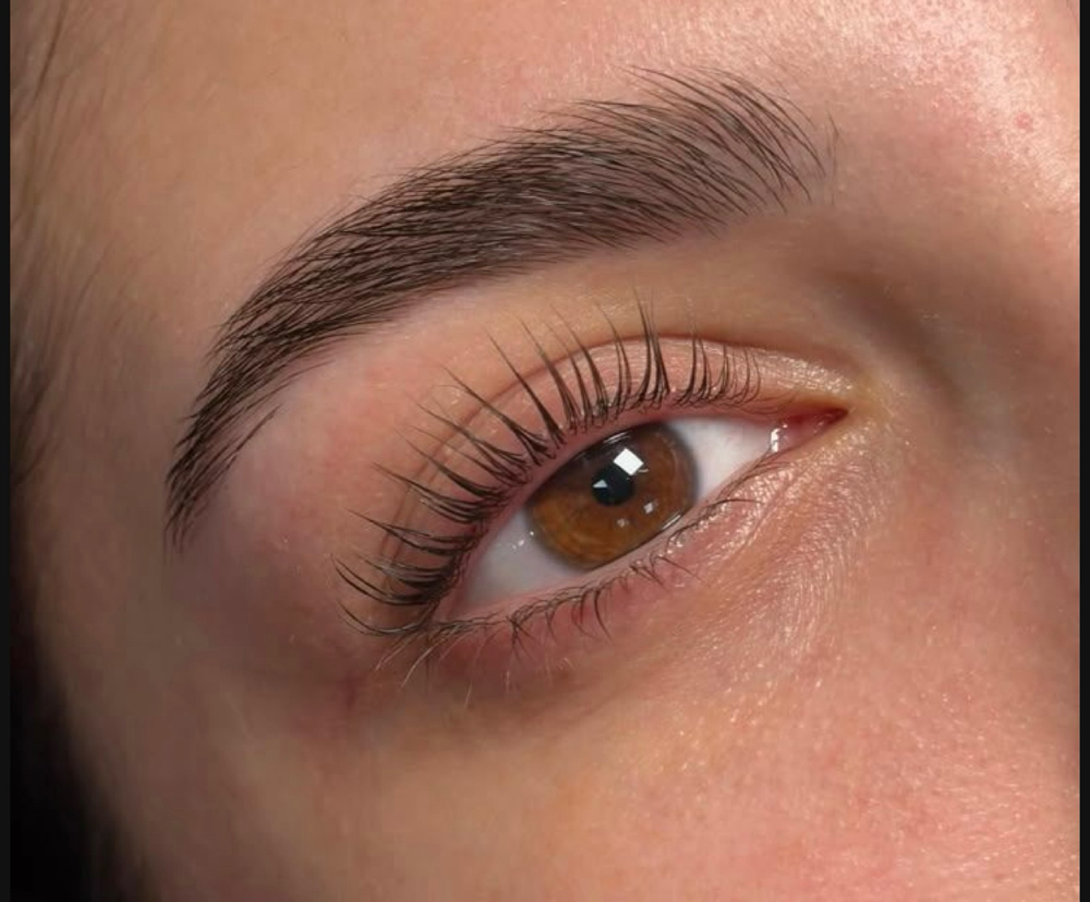 LASH LIFT