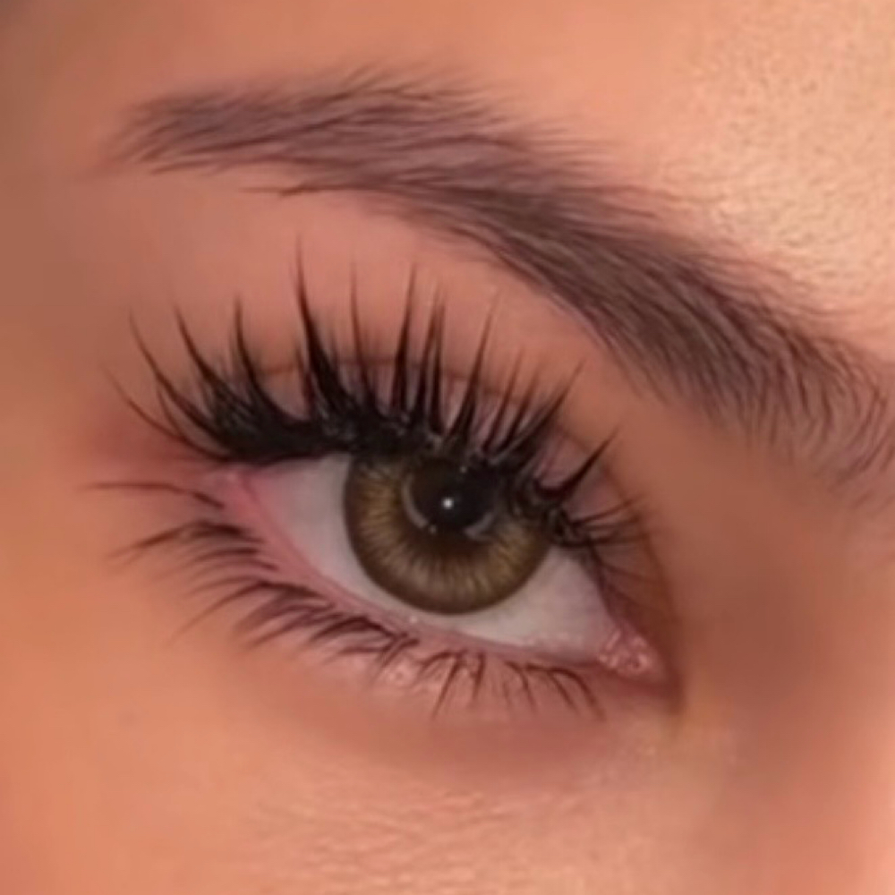 Lash Extention
