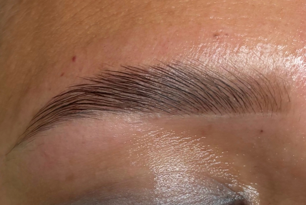 Brow Lamination at Ahedo Beauty Studio in Brownsville, TX
