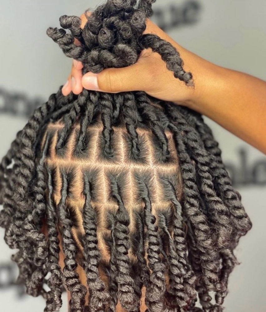 Two Strand Starters at Loc’d In With Dej in Fayetteville, NC