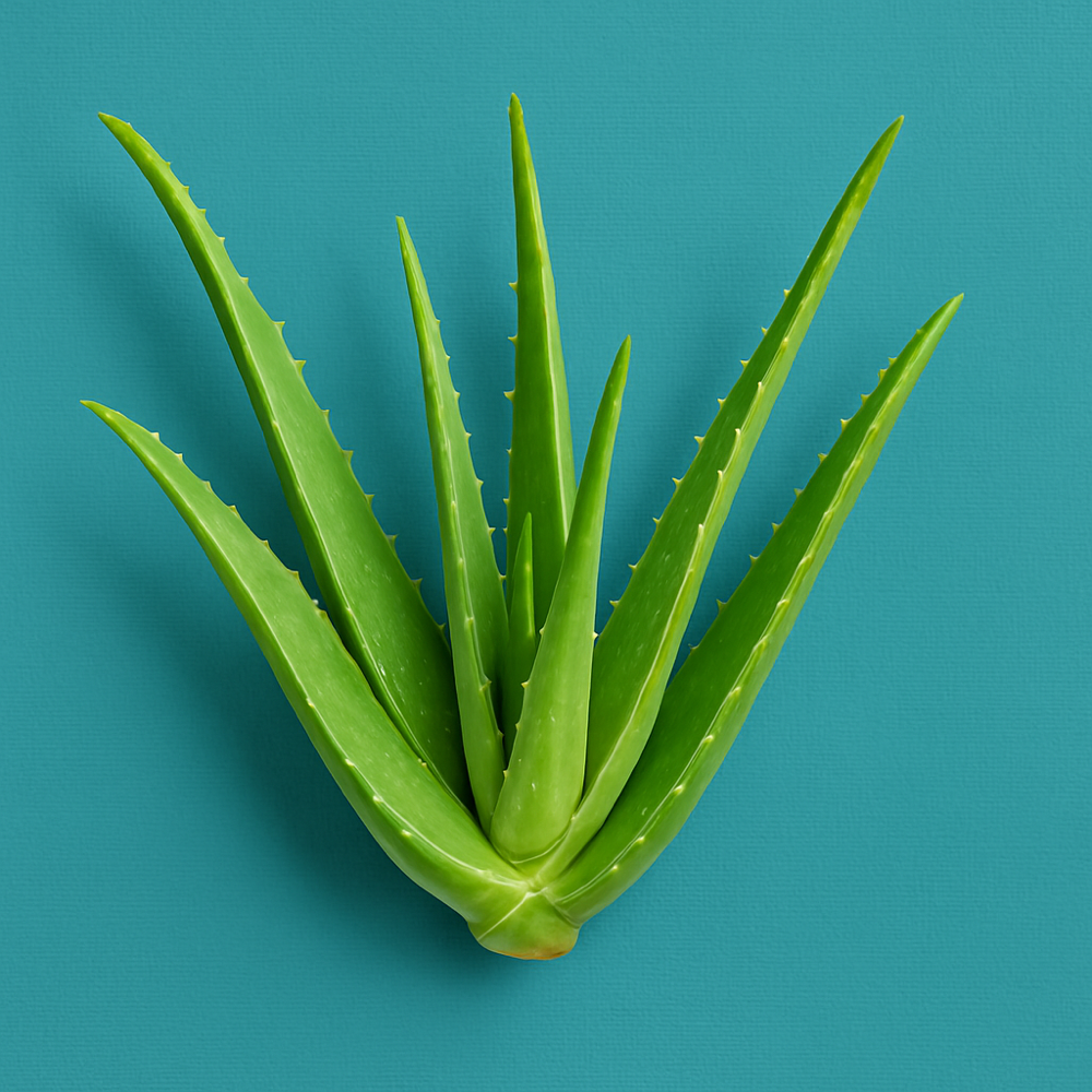 Aloe Bath