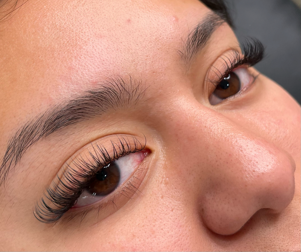Classic Lash Extension Fill