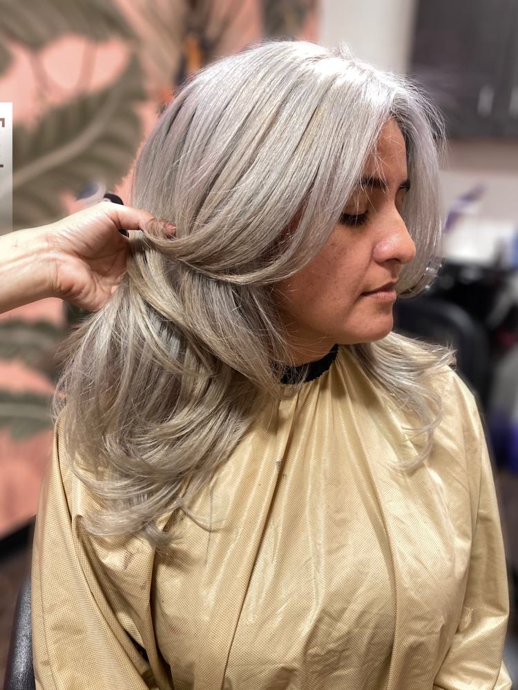 Bleach Root Touch-up + Tone