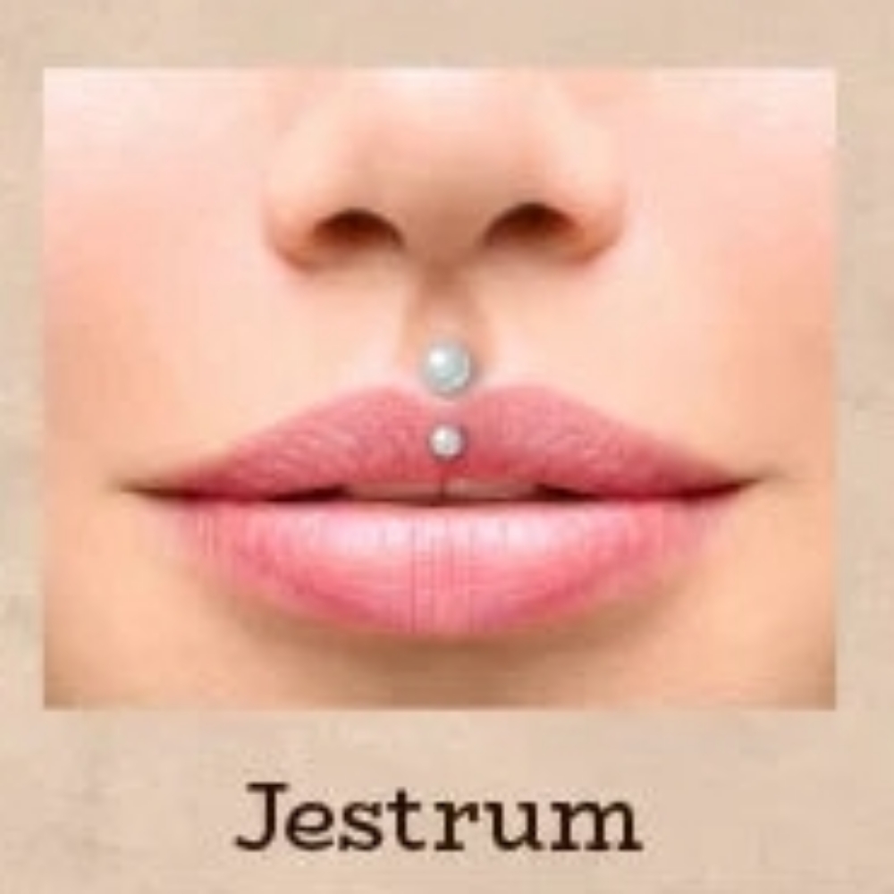 Jestrum at Piercings By Autumn in New Castle, PA