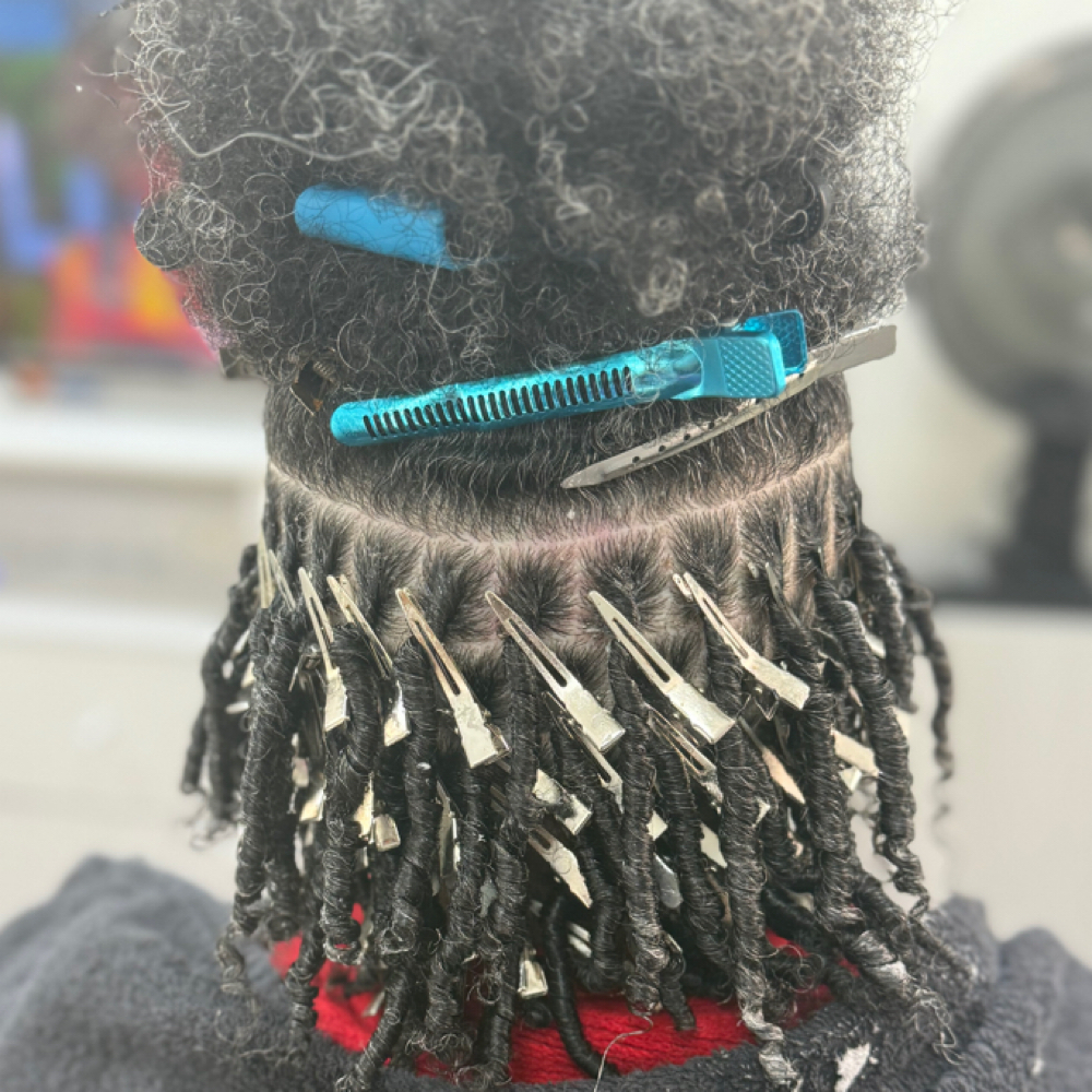 Traditional Starter Locs at LuLu's Loc&Braid Bar in Missouri City, TX
