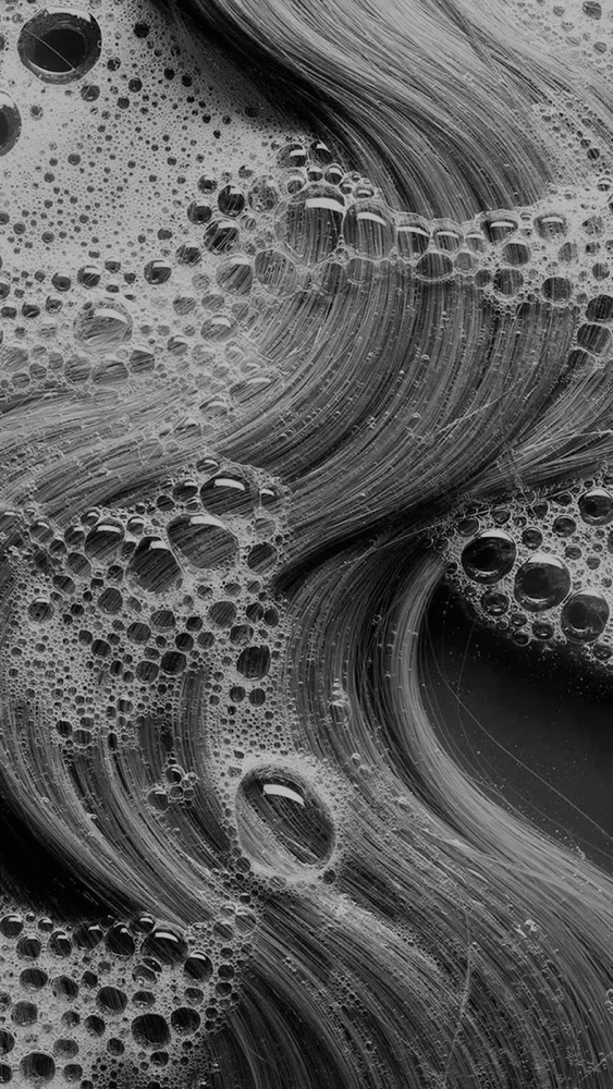 Shampoo / Haircut / Air Dry