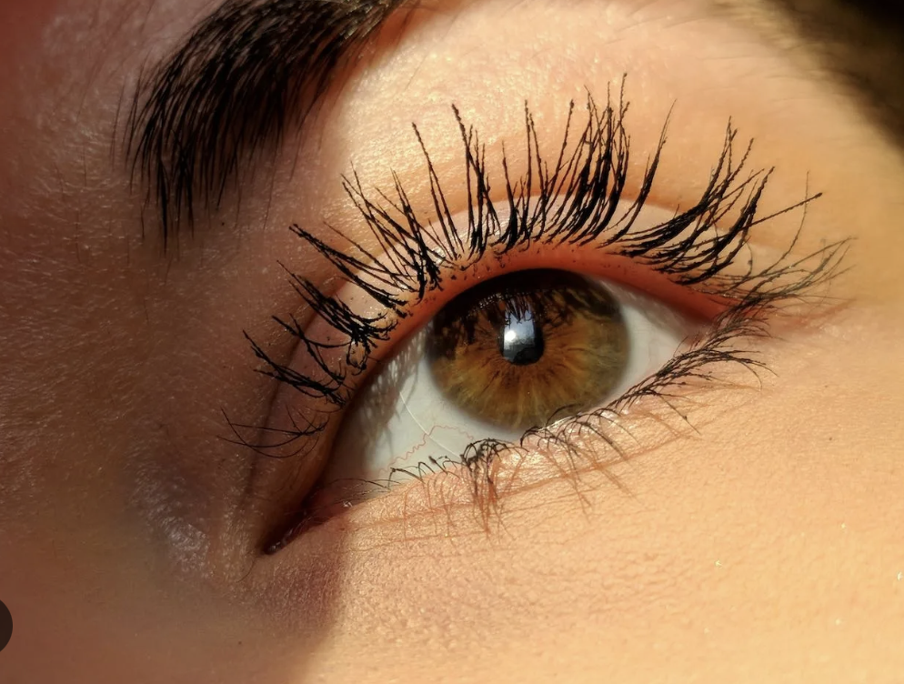 Eyelash tint only