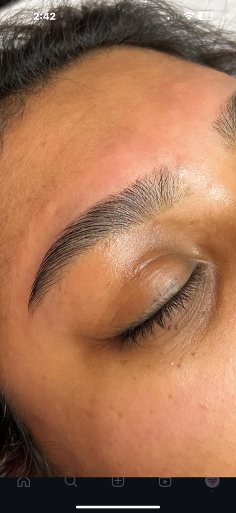 Brow Wax at The Beauty and The Waxer Co in Conroe, TX