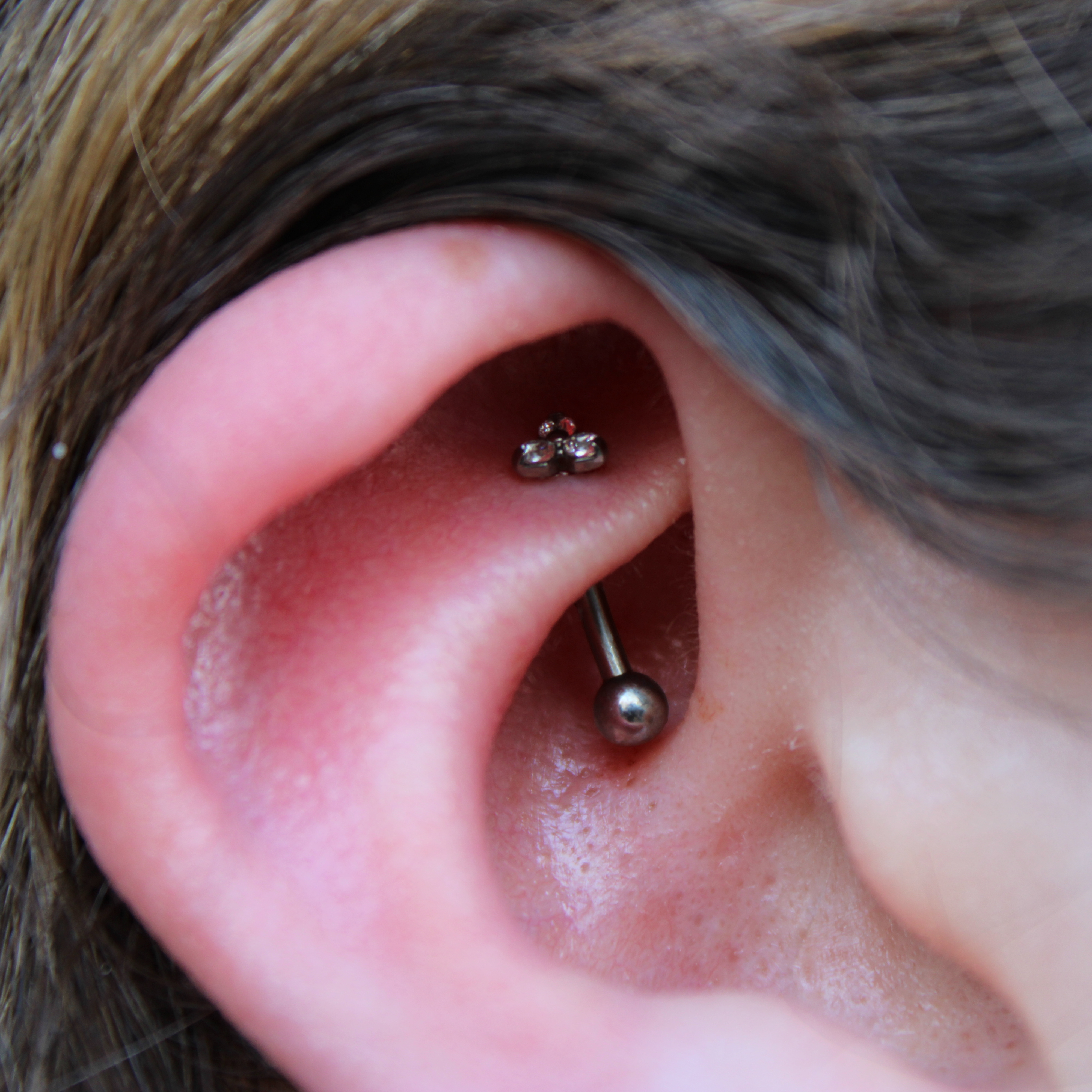 Rook Piercing (Age 16+) at Inferno Body Arts in Madison, WI