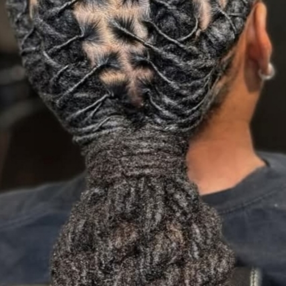 Long Maintenance w/  Styling at Locs, Braids & Twists in Laurel, DE