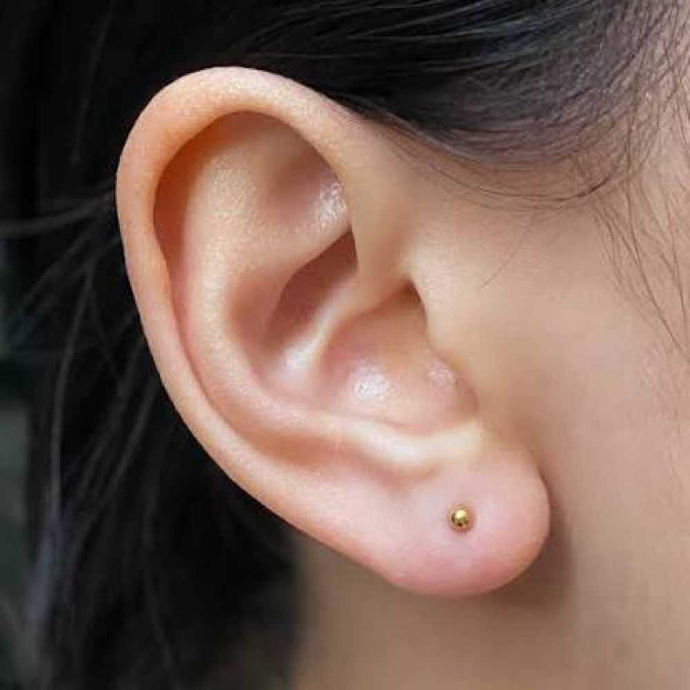 Both Ear Lobes at Inner Demon 2.0 in Havelock, NC