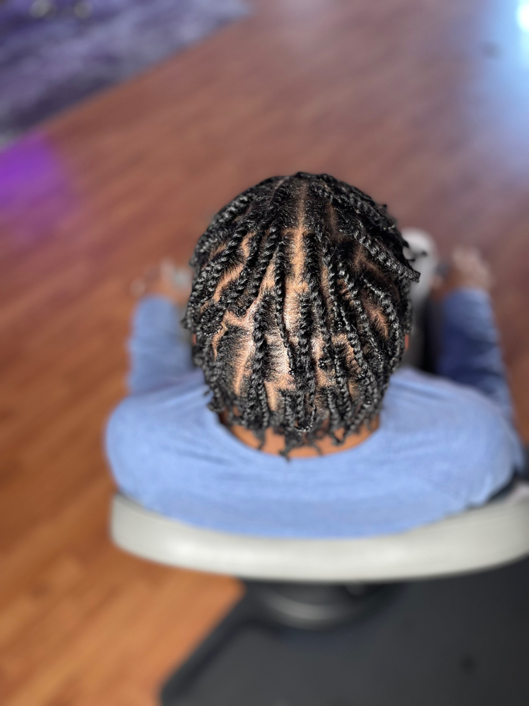 Two Strand Twists