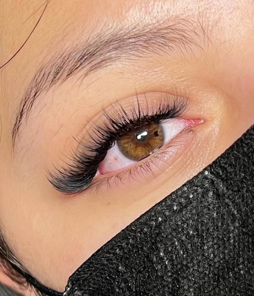 Hybrid Lash Set