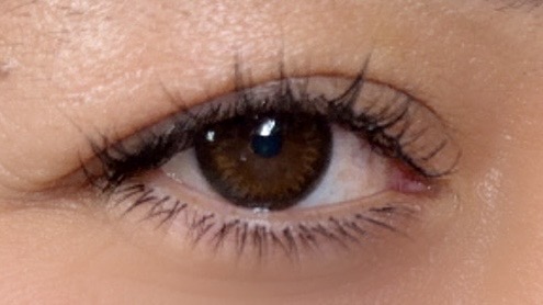 Bottom Lash (Refill)