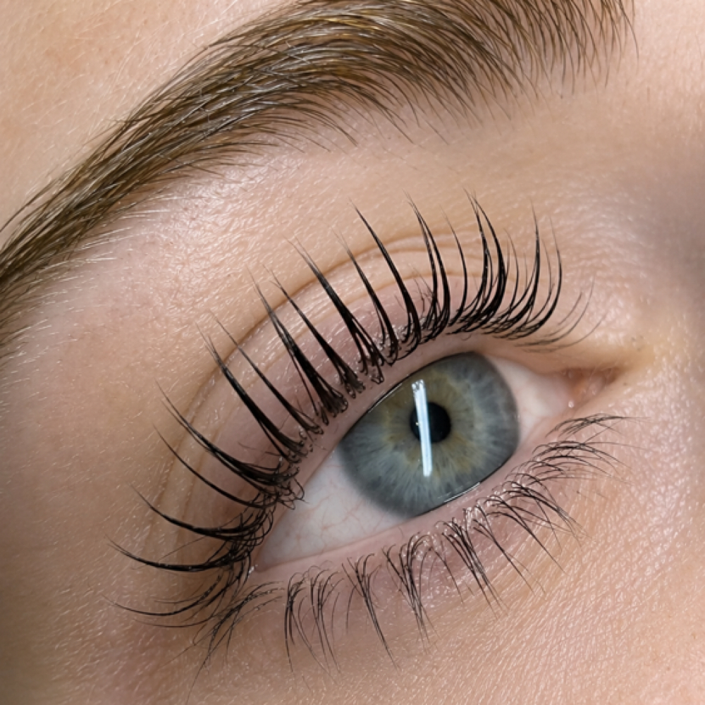 Korean Lash Lift + Tint at V Glow Miami in Miami Beach, FL