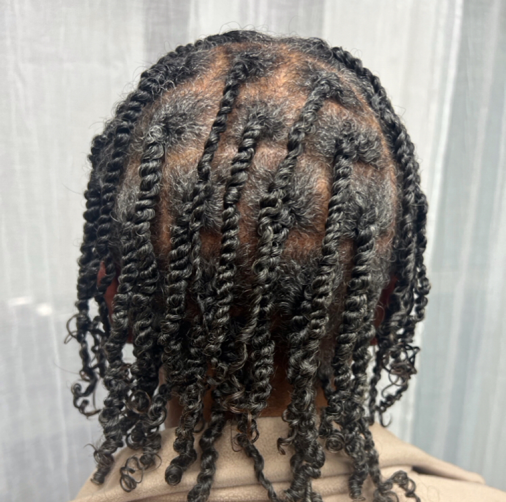 Two Strand Twist at Glimpse Studio in Birmingham, AL