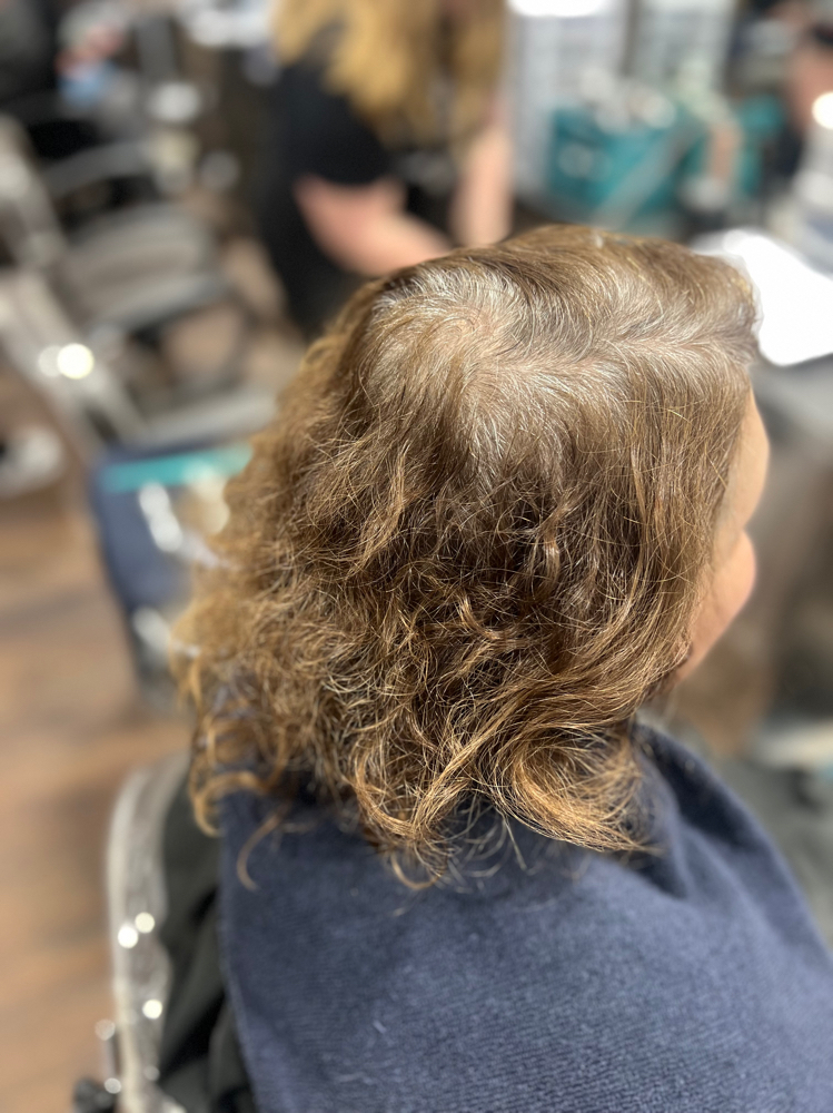 Root Touch Up