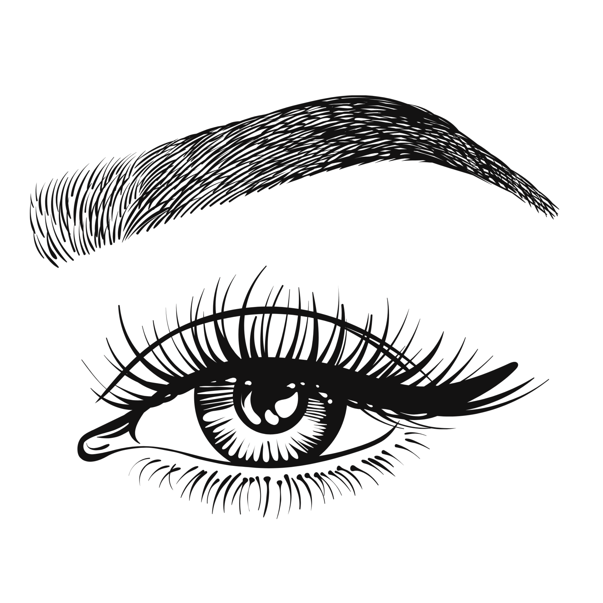 Brow Tint at Wild Beauty Salon in Findlay, OH