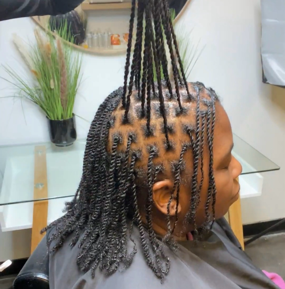 Mini Twists